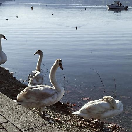 La Casetta Sul Lago 维韦罗内 外观 照片